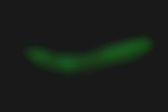 Glowing iPhone Accessories