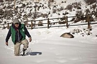 Winter Escapade Shoots Image 5