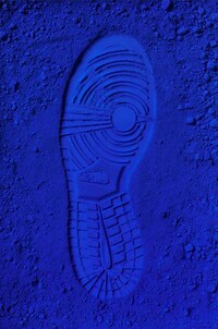 Blue Shoe Art Image 6