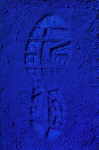 Blue Shoe Art Image 8