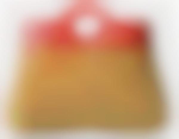 Spongey Satchels