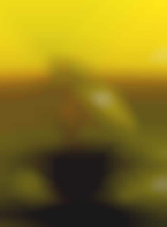 Smashing Liquefied Photos