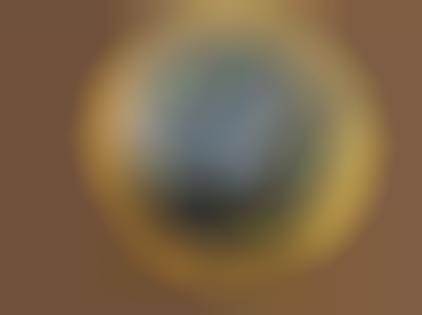 Fashionable City Guides