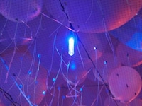 Oceanic Stimulations Image 7