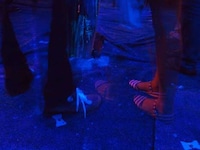 Oceanic Stimulations Image 8