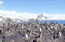 South Pole Street Views