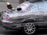 Pranksters At The White House Image 2