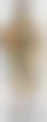 Europe Likes Americans