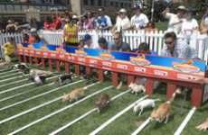 Dog Racing Unleashed