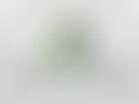 World's First Green Billboard