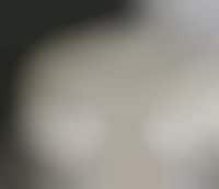 Platinum Cake Image 1