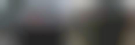 Counterfeit Cars (FOLLOW-UP)