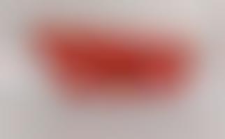 Art For Bono's RED Fund