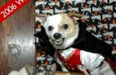 PetSmart Howl-O Ween Photo Contest