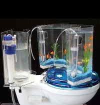 Toilet Tank Aquariums Image 3