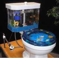 Toilet Tank Aquariums Image 5