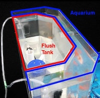 Toilet Tank Aquariums Image 6