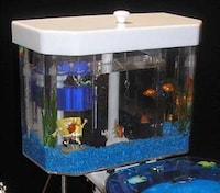 Toilet Tank Aquariums Image 7