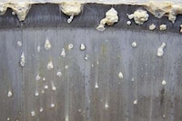 Speedy Fossilization Machines Image 3