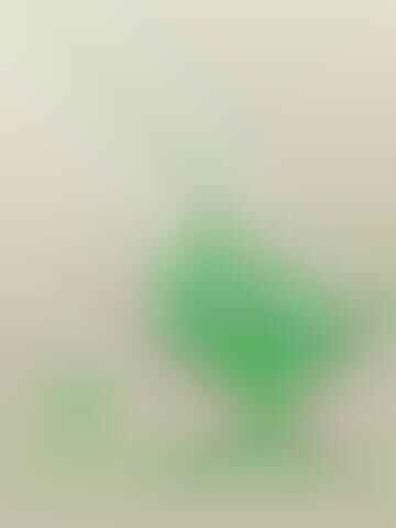 Animal Stationary Tools