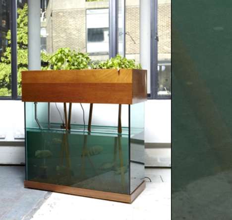 Fish Tank Farms