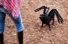 Dogs as Tarantulas