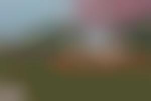 Nude Chip Shots : Camilo Villegas