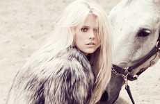 Elegant Equestrian Photography
