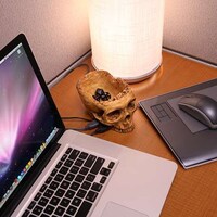 Skeletal Desk Accessories Image 2