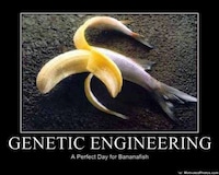 Altered Fish Controversies Image 3