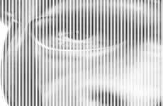 Humanimal Portraiture