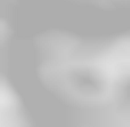 Humanimal Portraiture