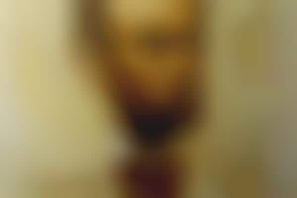 Honest Politician Portraiture