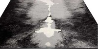 Spinal Carpets Image 2