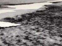 Spinal Carpets Image 4