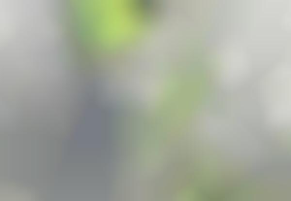 Scenic Green Skyscrapers