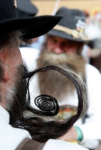 Meticulous Moustaches Image 2