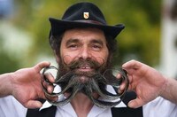Meticulous Moustaches Image 7