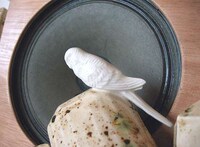 Ceramic Sound Stations Image 2