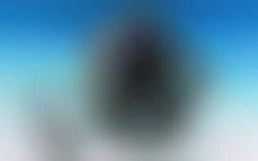 Extreme Combat Head Gear