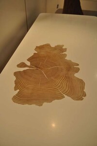 Tree Trunk Tables Image 3