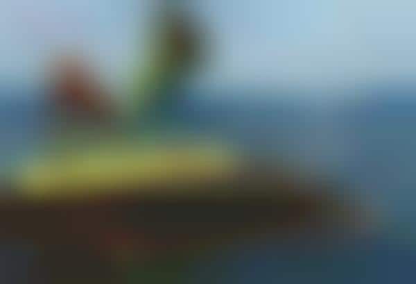 Technicolor Swimsuit Shots