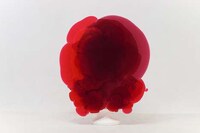 Distorted Artsy Figures Image 4