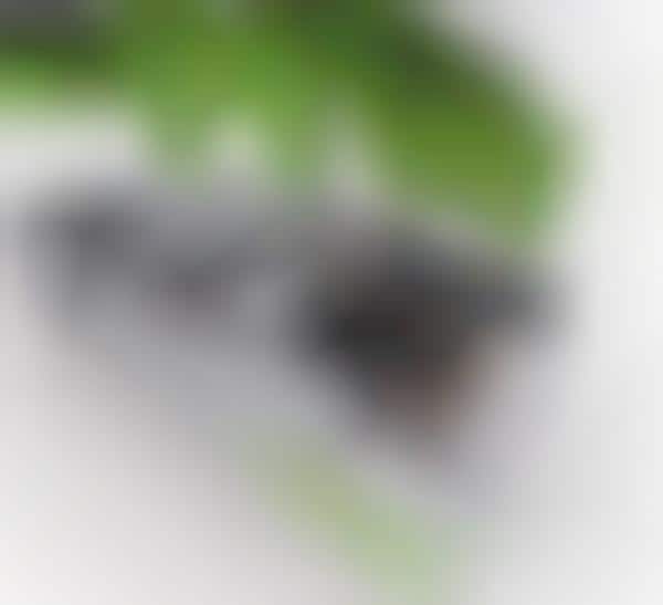Uber Green Kitchens