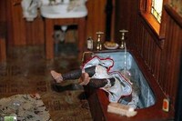 Grisly Dollhouses Image 2