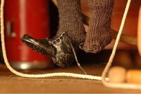Grisly Dollhouses Image 6