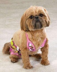 Promiscuous Puppies Image 2