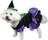 Promiscuous Puppies Image 3