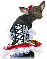 Promiscuous Puppies Image 6