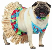 Promiscuous Puppies Image 7